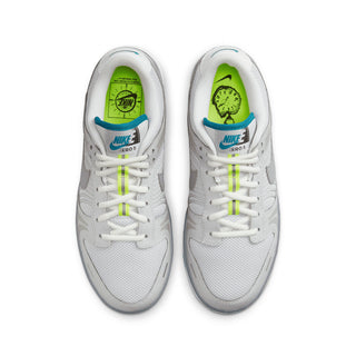 Nike Dunk Low SE Vemero Grey Fog Particle